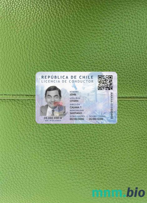 Chile prawo jazdy PSD photolook